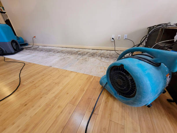Professional Flood Damage Cleanup technician working in Lumberton, MS